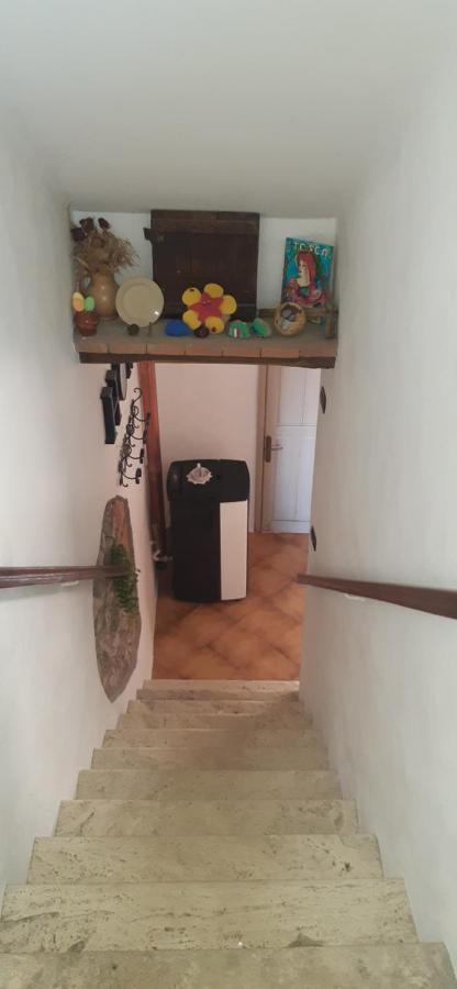 Nicolas House Apartment