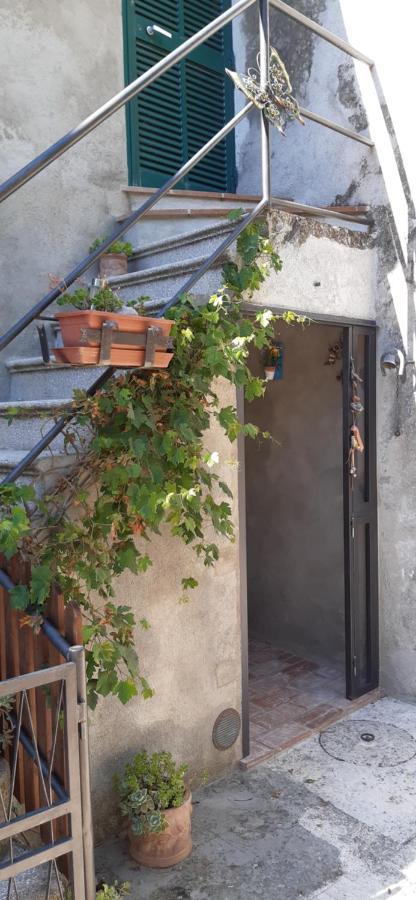 Nicolas House Apartment *