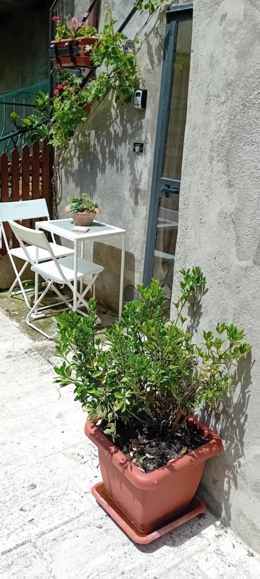 Nicolas House * Campiglia dʼOrcia